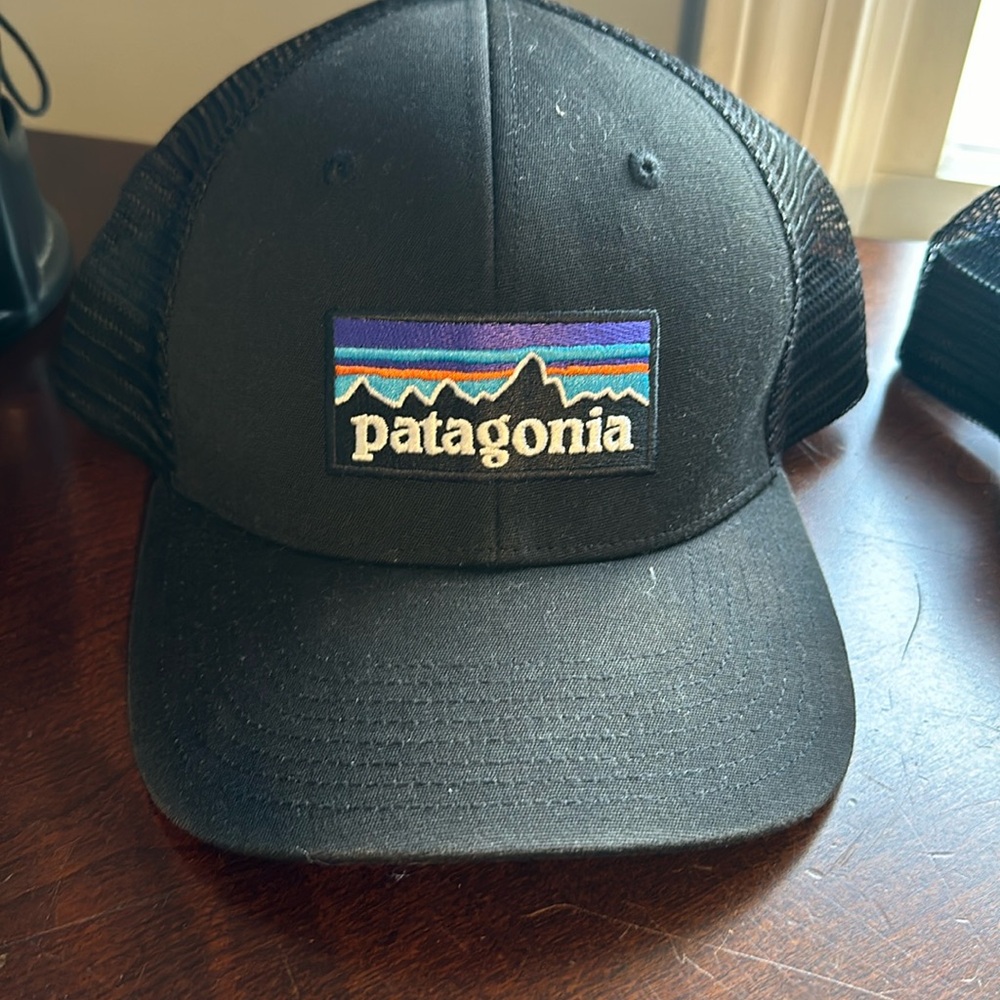 Patagonia trucker hat